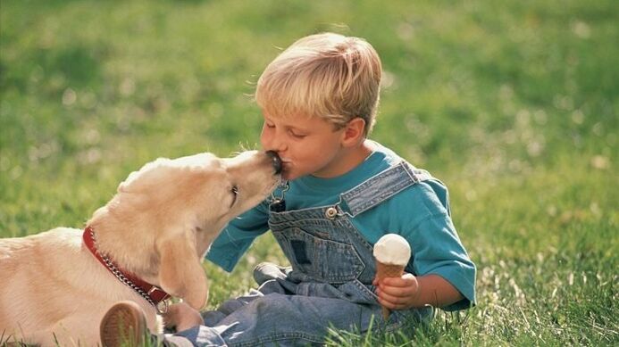 un băiat primește viermi de la un câine